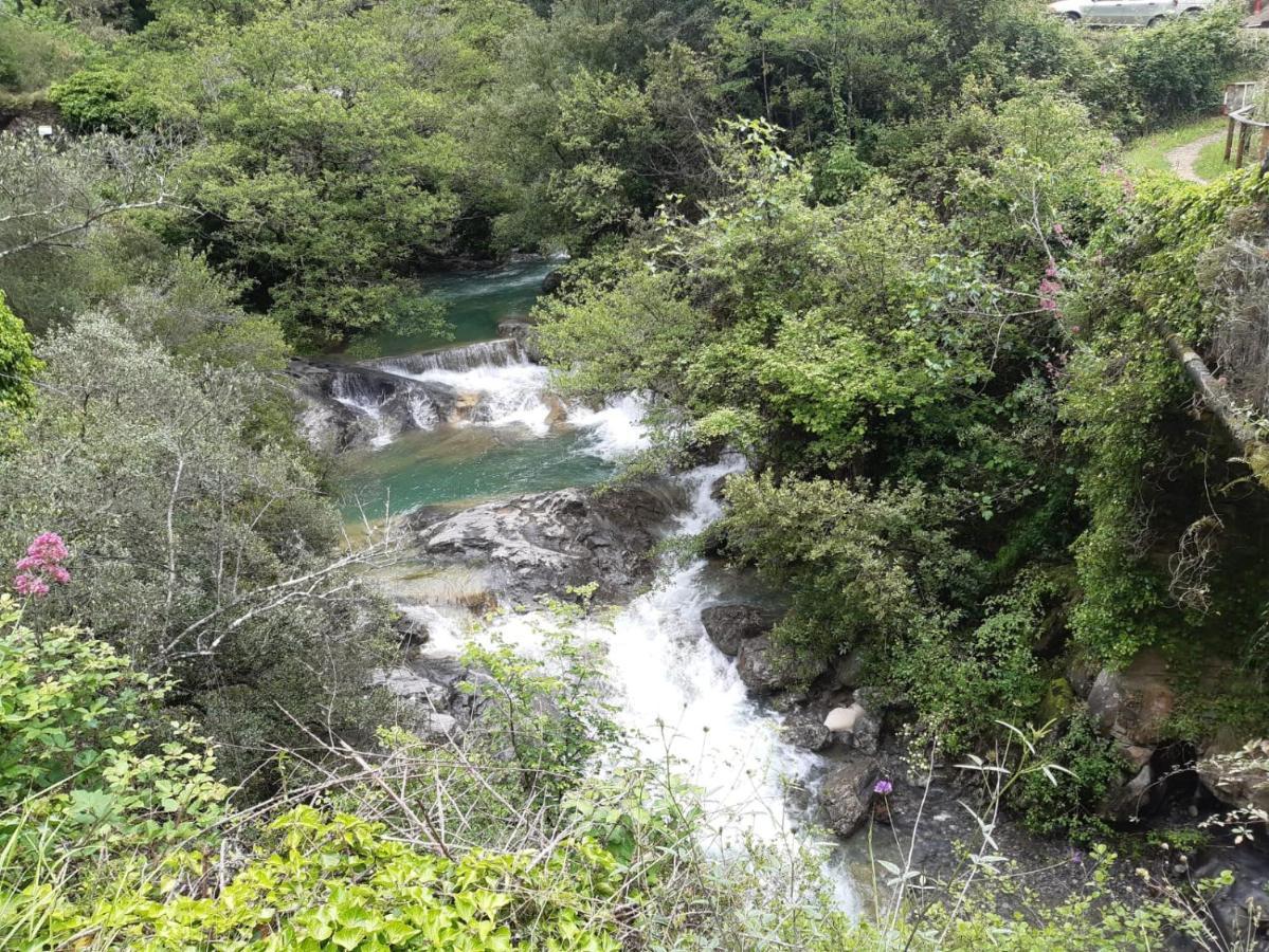 L'Ortensia Διαμέρισμα Pigna Εξωτερικό φωτογραφία