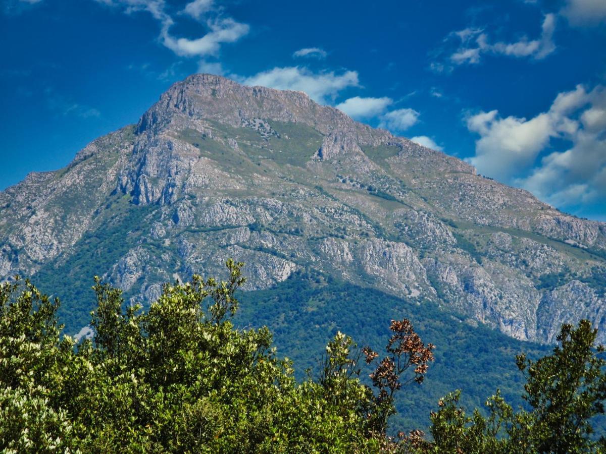 L'Ortensia Διαμέρισμα Pigna Εξωτερικό φωτογραφία